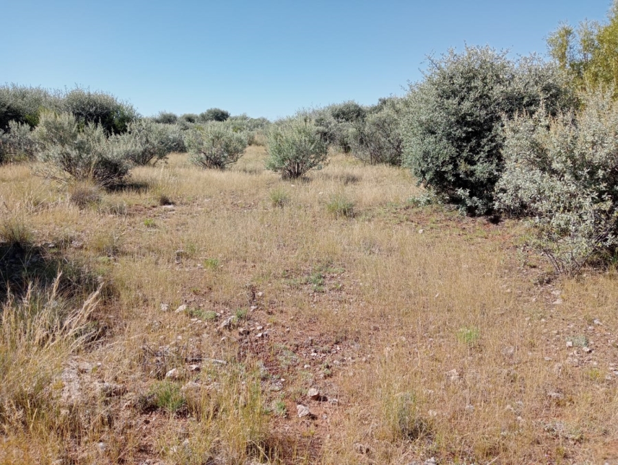 0 Bedroom Property for Sale in Koopmansfontein Northern Cape